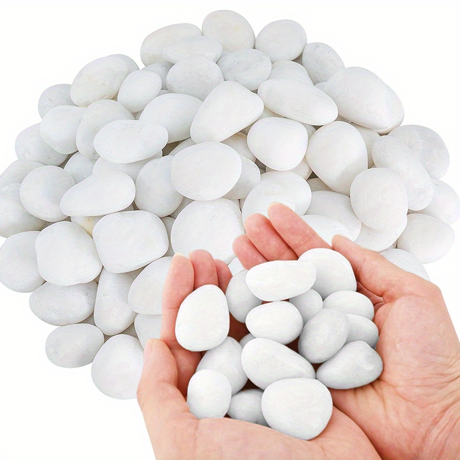 หินกรวดขัดเงาสีขาวธรรมชาติ ขนา - Marine Fish Tank บทวิจารณ์และราคา