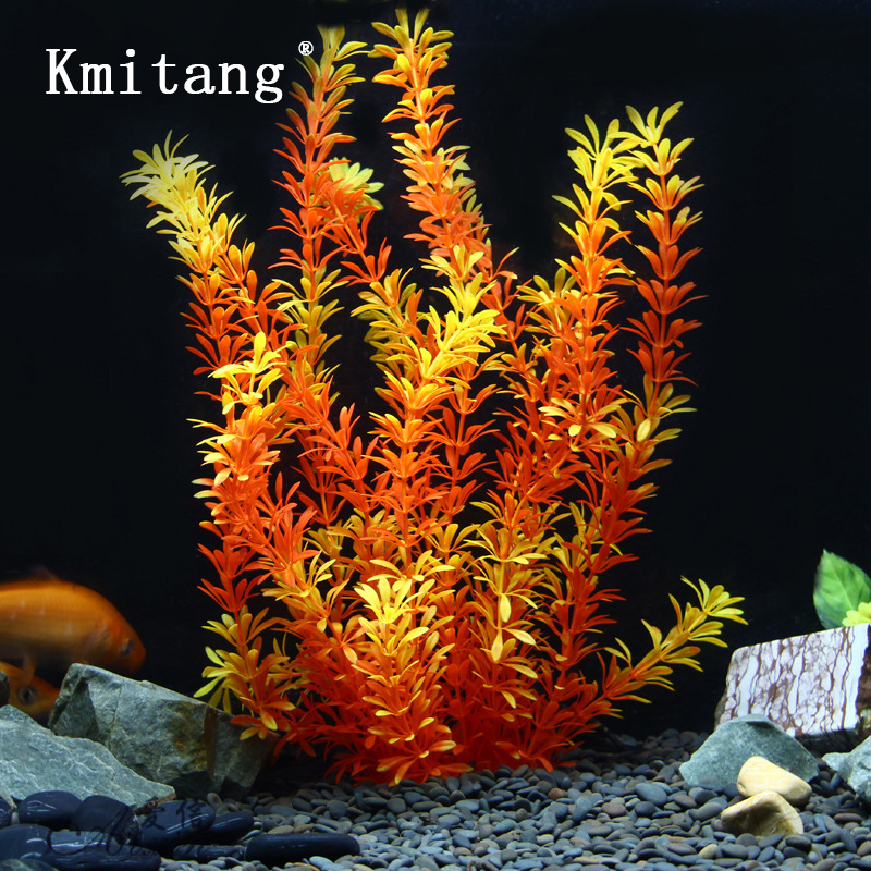 ต้นไม้เขตร้อนขนาด 100 ซม. หญ้า - Marine Fish Tank บทวิจารณ์และราคา