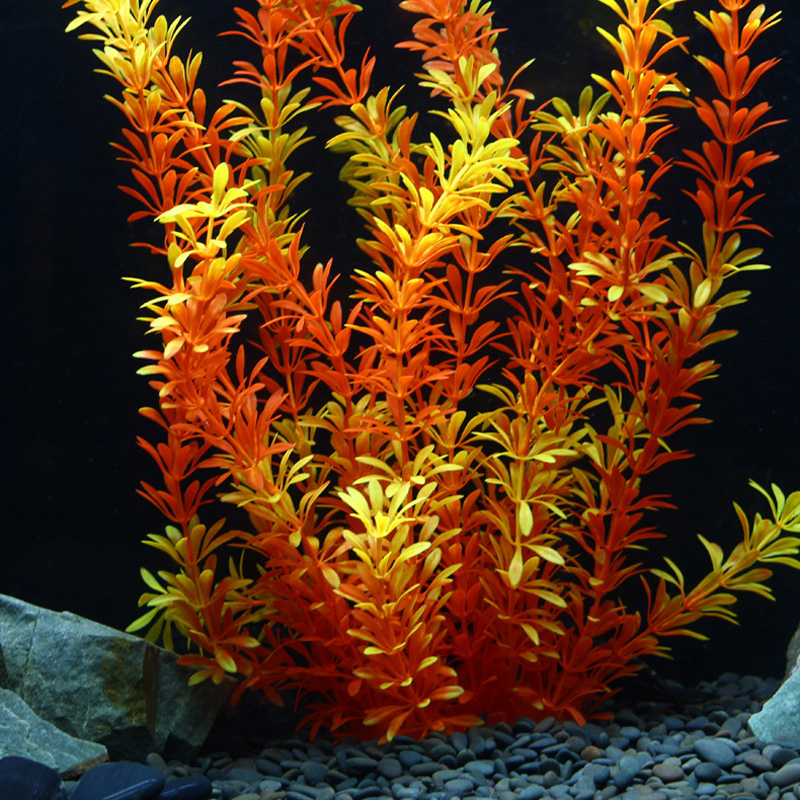ต้นไม้เขตร้อนขนาด 100 ซม. หญ้า - Marine Fish Tank บทวิจารณ์และราคา